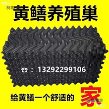 ���X�~�S�X�B�S�X�����X�������߲��S�X�CΛ󨳲ˮ�����q�B��̫��