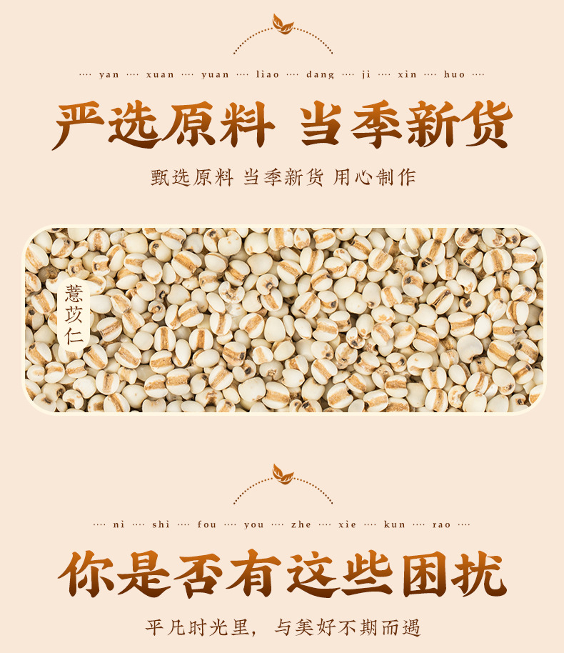 Roasted Yi Mi Ren (Coix lacryma-jobi) — Ready-to-Eat Job's Tears Kernels, 100g key features