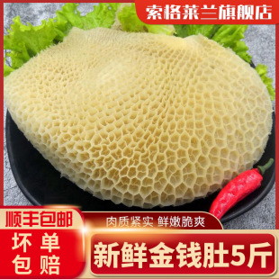 5����X�����r���ţ���X�ǰ��Ʒ��ţ���������l����C�������]