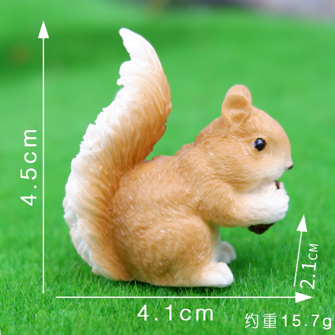 2호 솔방울다람쥐(갈색)