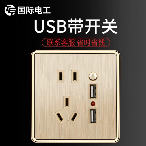 Double USB five -hole switch