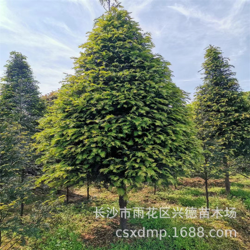 微信图片_202302201558381