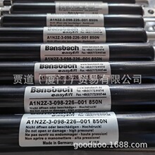 A3A3B72-220-550-001-300N�¹���������Bansbach easylift֧�Ÿ�