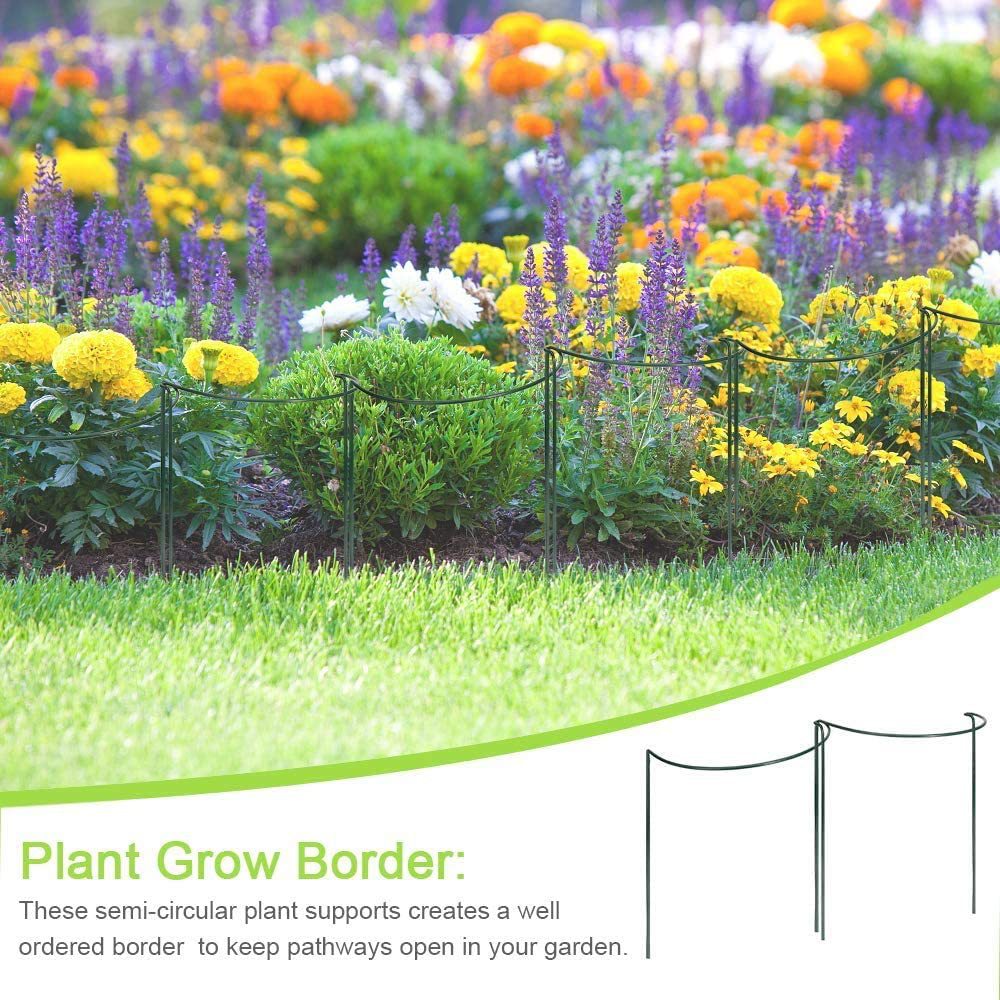 71hHBZaFmFL._AC_SL1000_