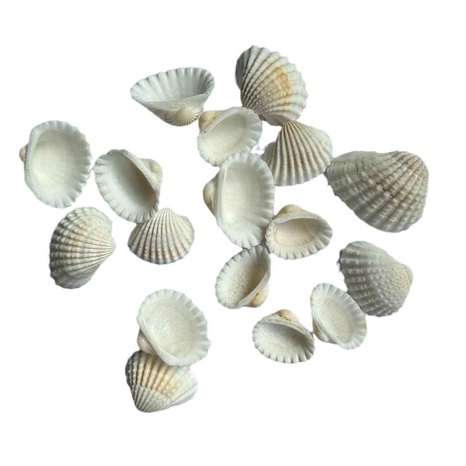 2024-06-08 09:23:07.jpg