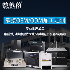 鴎ラインoleyin油煙機ガスレンジ消毒盤電気温水器燃焼熱集積ストーブ食器洗い機浄水器