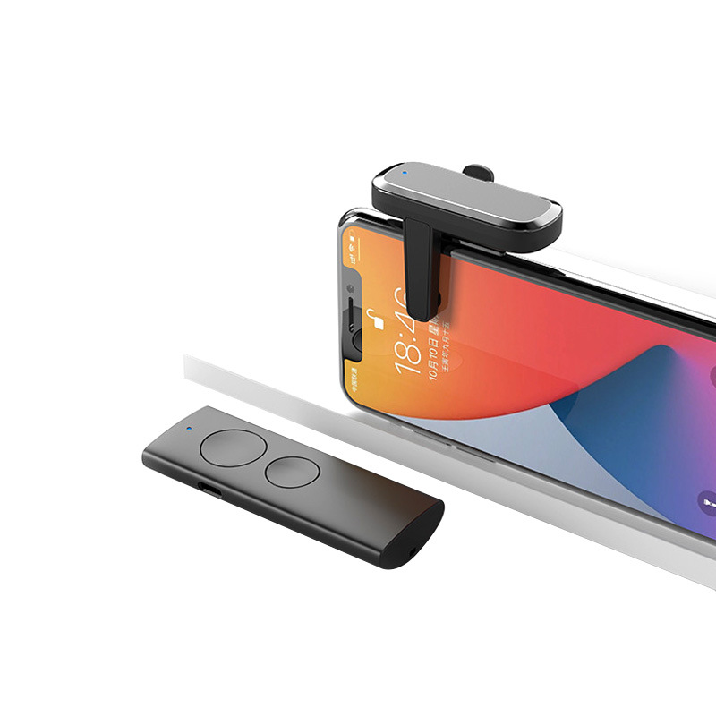 Electronic compatible mobile phone