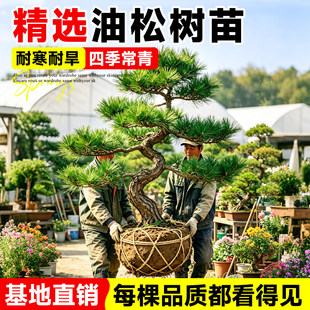 ���ɘ䎧���������͘�����ɘ����ļ������҃ȿ͏d�k���ҾGֲ����