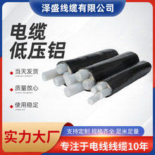 阻燃多规格聚氯乙烯护套电缆 国标铝芯电缆线 多芯低烟电线厂家