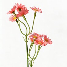 �羳��̟��N����С�r�ջ��� diyɭϵ���b����ֹ������^�����