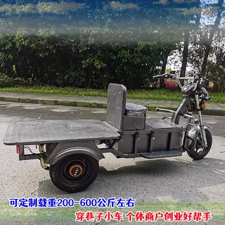 成人大街小巷穿行三轮车不带篷载货农用拉货家用代步短途同城送货