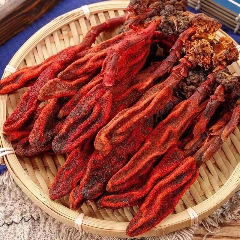Hui Chun Cao 500g Dried Cistanche Herb Yunnan Huichuncao Traditional Herbal Tea Ingredient key features