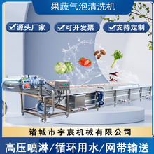 全自动果蔬气泡清洗机酱腌菜脱盐肉类清洗机银耳清洗风干流水线