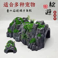 ���ǿ����~����ݴ�̖�ش�̖������̨���x�䌙��������،m������