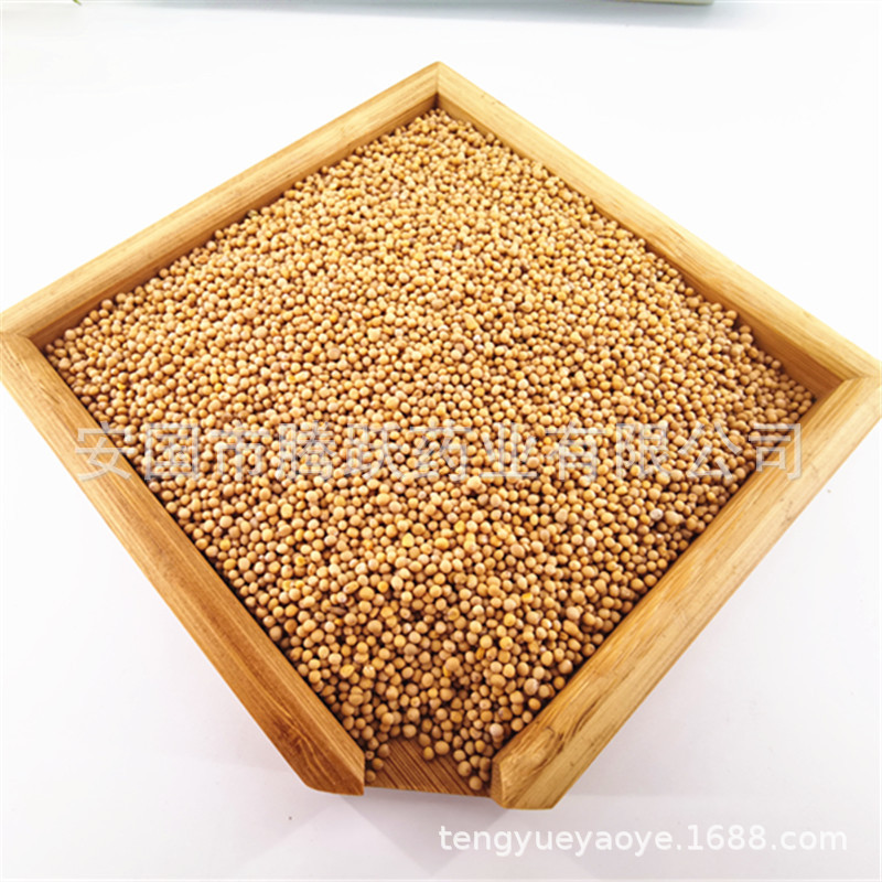 White Mustard Seed Bai Jie Zi 白芥子 Dried Sinapis Alba Seeds Traditional TCM Herb 1kg Bag quality and texture