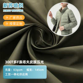 300T涤塔夫皮膜  棉服羽绒服防水布料 多F涤丝纺塔夫绸压光面料