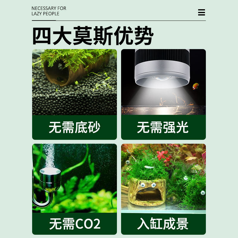 鱼缸水草造景莫斯水草懒人真植物鱼虾躲避罐虾屋小摆件小鱼躲避屋