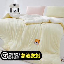 A类韩国进口超细纤维冬被加厚保暖蓬松针织棉被芯春秋被子抗菌