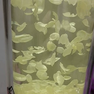 1号精选茉莉花瓣