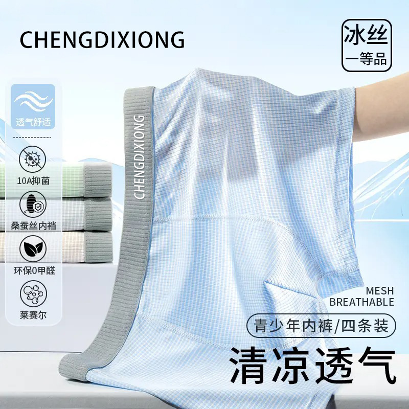 [Processing and Customization] Youth Underwear 10A Antibacterial Mulberry Silk Boxer Briefs for Growth and Development Period