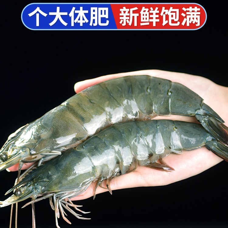 【8斤】大虾鲜活基围虾特大连虾冷冻鲜对虾速冻海虾虾类海鲜
