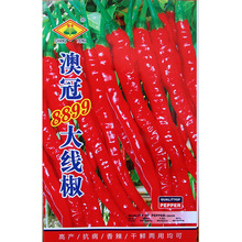 �W��8899�󾀽��N�� �r��ˈ@�������������r�����L��������