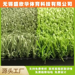 Shengxinhua Fill-Free Artificial Turf Indoor Football Field School Training Football Field Park Club Sports