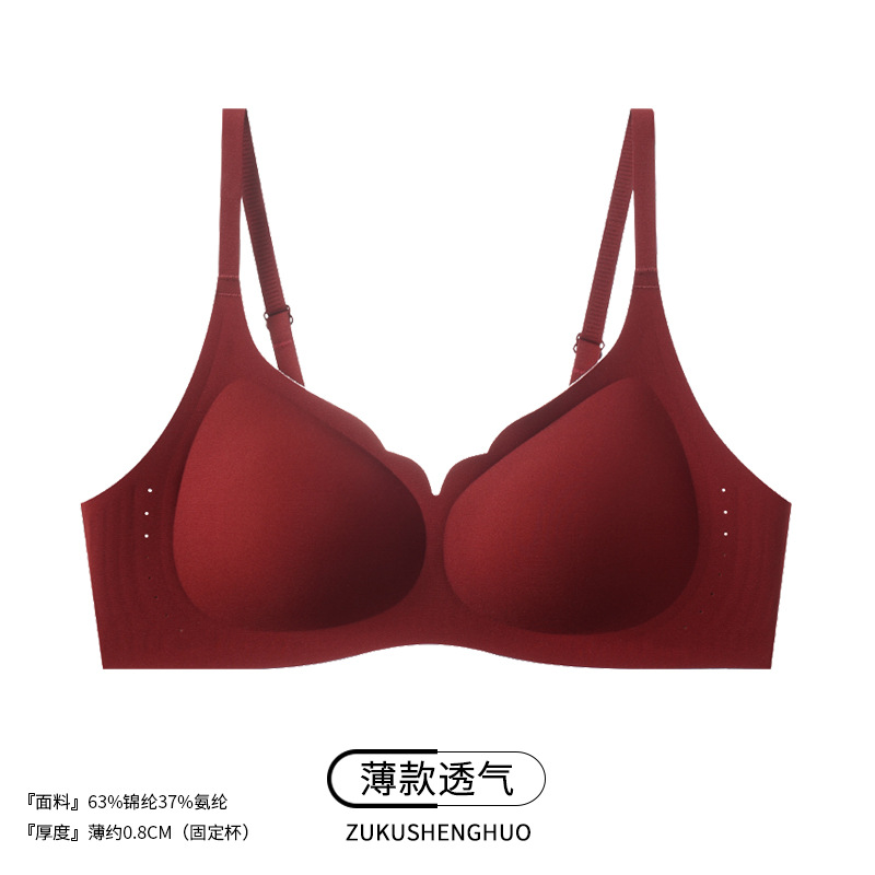 앵커 레드 - 2608