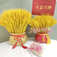 ���l��Ȼ��ɫ�����ɫ����ɻ��_�I�������@�Ĕz�����_�I�YƷ�[��