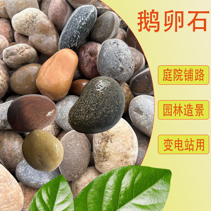 现货鹅卵石庭院铺地铺路鱼缸花园造景砾石鹅卵石5-8 变电站鹅卵石