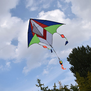 Weifang Breeze Easy Flying Kite Drill Monkey Small Wind Easy Flying Children with Tail Adult Kite Cartoon Pattern Kite