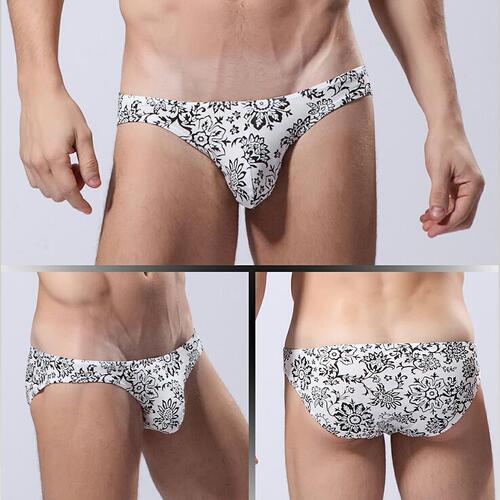 Chinese style teen gay sexy men's low-waist underwear cartoon print new Xinjiang cotton briefs E095