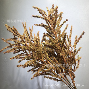 ���滨���ϲݸ�ɽ�ݶ�ɫ����ݰ޲ݬF�����s�ҾӘӰ巿�b�ˇ