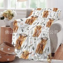 爆款成人儿童3D数码印花法兰绒毛毯午休毯冬季礼品毯办公室披肩毯