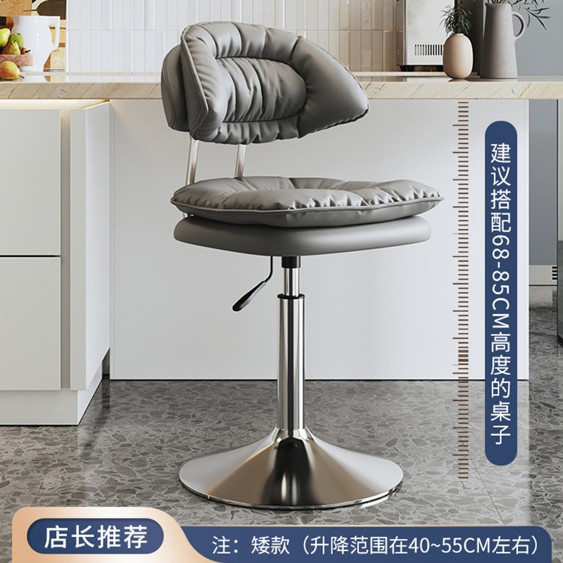 쇼트 모델 - 그래파이트 그레이 더블 레이어 클라우드 패드 [38.5cm 전기도금 스틸 섀시] 3단 에어로드
