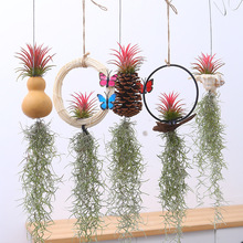 �՚��P��o��ֲ������횿՚�����}���ڵ����҃ȴ����Gֲ���ݺ���