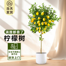 ˮʘԎʳþGֲ҃ȿ͏d̨ļ_ֲB