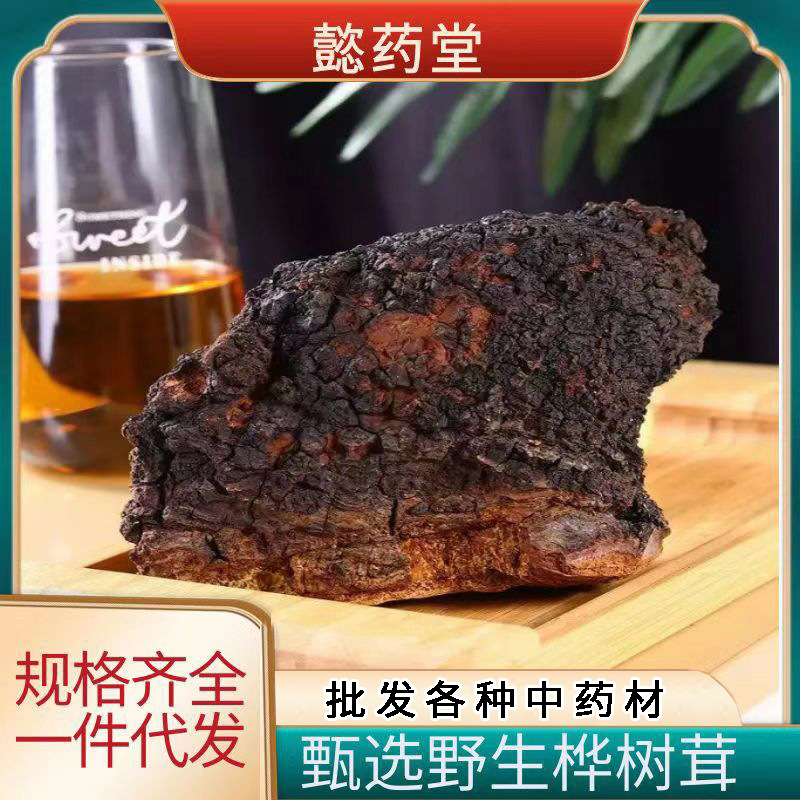 长白山桦树茸大块 黑金颗粒桦树茸 桦褐孔菌 厂家批发中药材桑黄