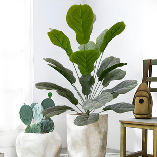 �W���L�羳��������~�ŷ�����҃Ȉ@�־��^�쾰����Gֲ�������