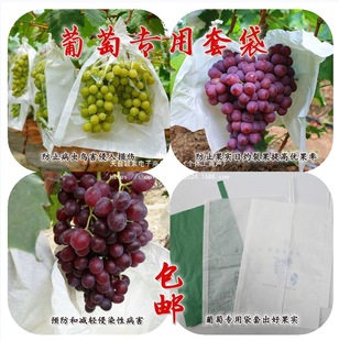 Grape Bagging, Rosehip Bagging, Insect-Proof and Rain-Proof Bag, Lotus Mist Translucent Bag, Window Bag, Default Item