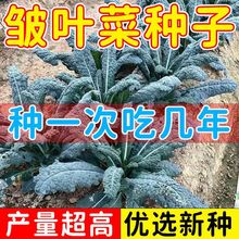 u~˷NļNֲﶬͺ߲˷Nֲ~¸{Nɳ