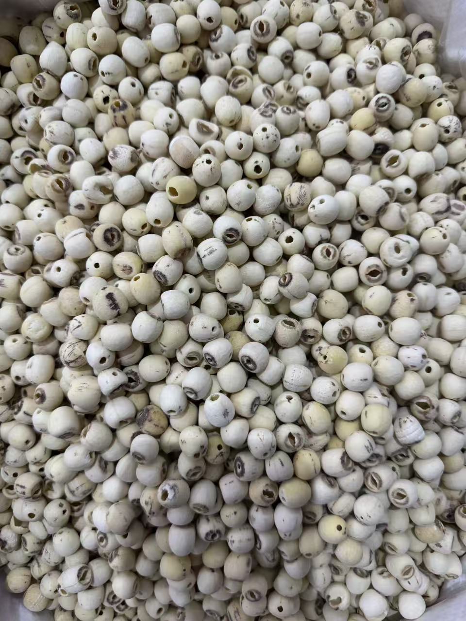 Dried Coreless Lotus Seeds Xiang Lian 1000g Hunan Origin for Soup Congee and Herbal Cooking in use