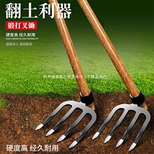 �Ӻ��F����䓰�ᔰһ��@�N�˷����������r�������X���_�ķ����z�^