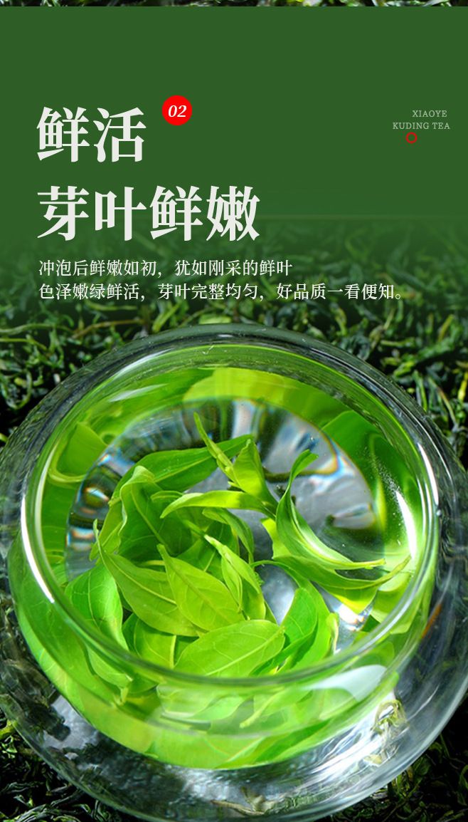 Small Leaf Kuding Tea Premium Tender Bud Bags 30g Canister Daily Wellness Brew specifications