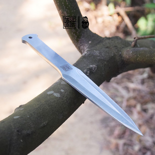 ꖽ��M�Թ��Sֱ�����͑����w�S���w��Ͷ�S�w����ֱ�w���wС���w��