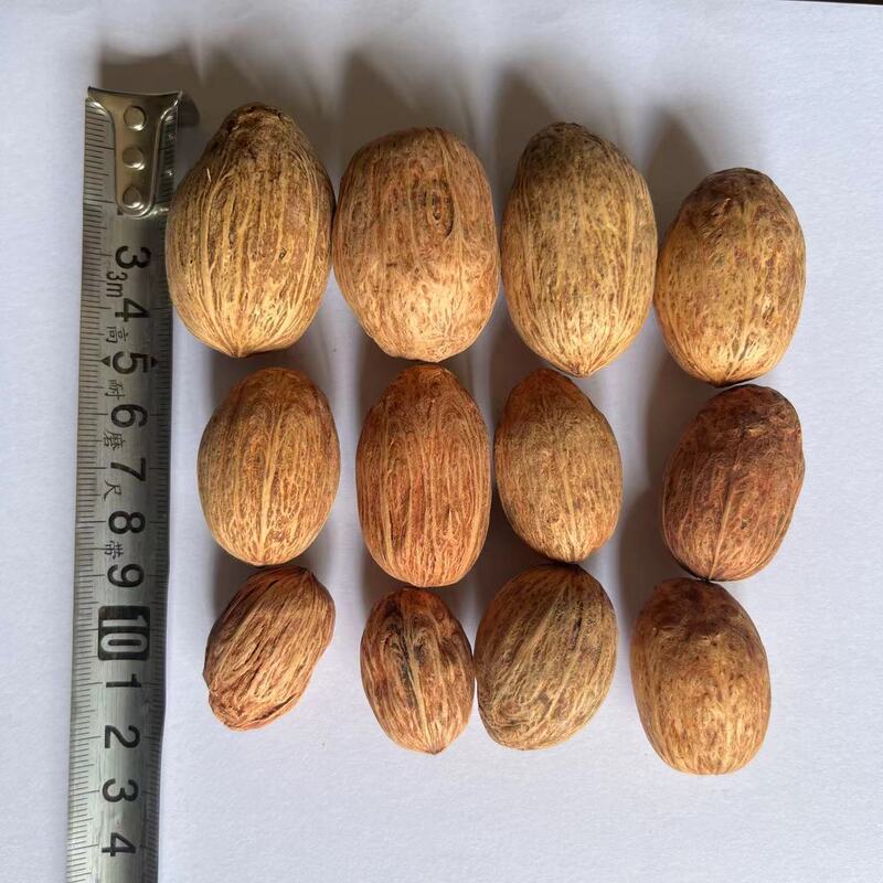 Art Source Dried Mango Wood Natural Fruit Sachet Material Photography Props Handmade DIY Material Accessories Large Peanuts