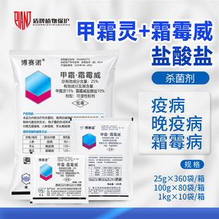 �̱� ��ِ�Z 25%��˪�`.˪ù���߲����߲�˪ù���rș������