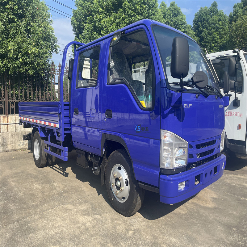 Isuzu Isuzu 3-Ton Truck Double-Row Panel Truck Factory Direct Sale 4*4 Dump Truck Available for Sale