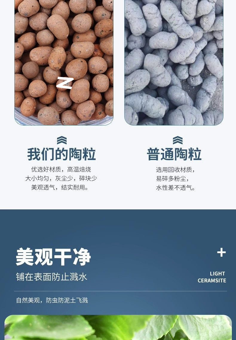 ac9339d2-0006-4d97-aff1-12c62173b679.jpe