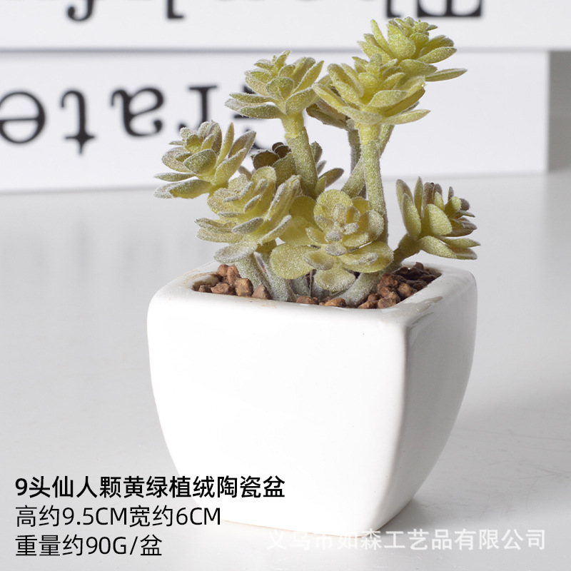 Simulación de cerámica bonsai de carne doméstica decoración de escritorio de oficina plantación verde maceta props de disparo maceta combinada artificial image 11